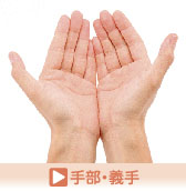 腕の人工ボディ(写真2)