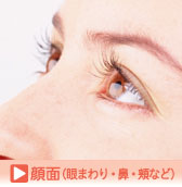 顔の人工ボディ(写真2)